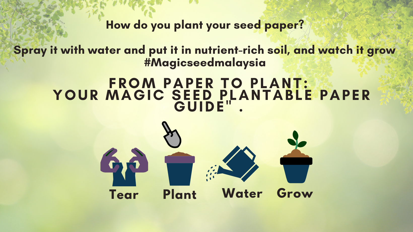 Seed paper how to plant