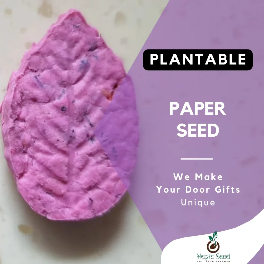 Recycled Paper Seed Pods