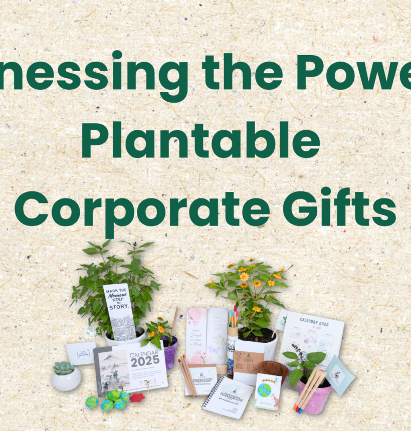 Plantable Corporate Gifts