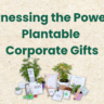 Plantable Corporate Gifts